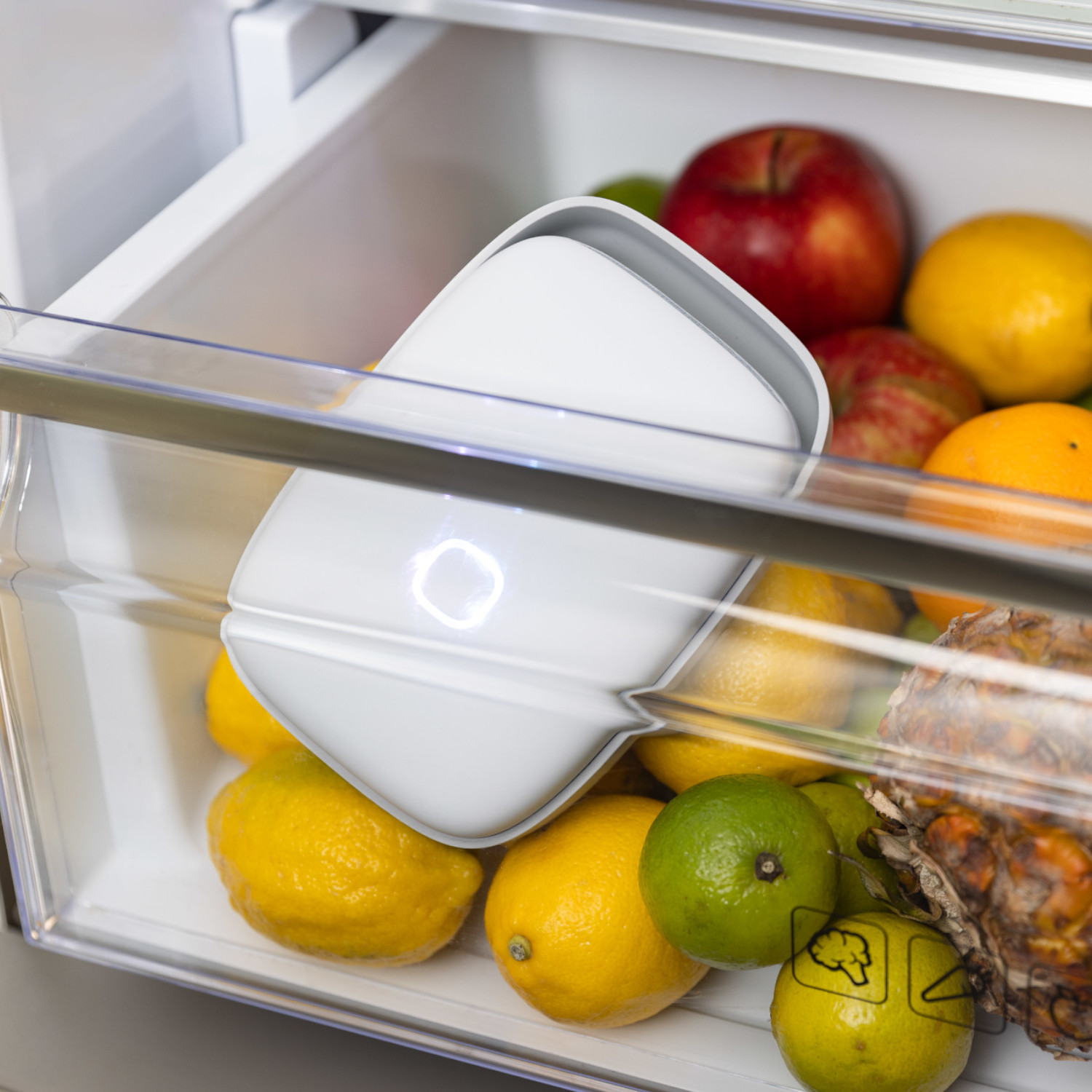 VITESY Shelfy Luftreiniger Kühlschrank