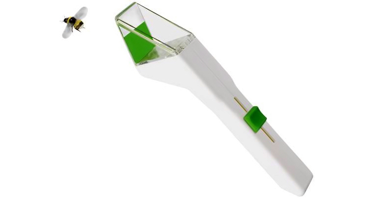 Snapy, der Insektenfänger