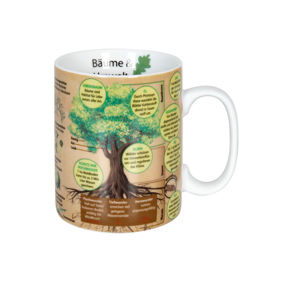 Wissensbecher Bäume