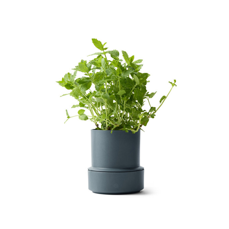 Selbstwässernder Blumentopf