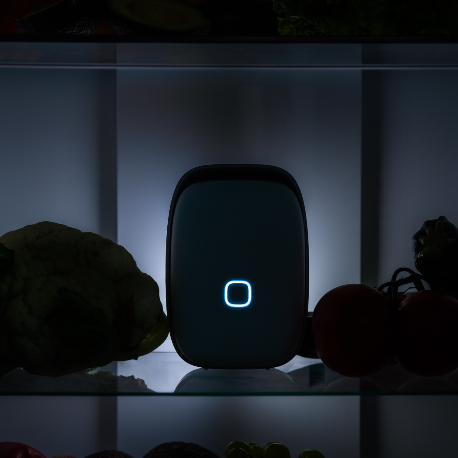 VITESY Shelfy Luftreiniger Kühlschrank