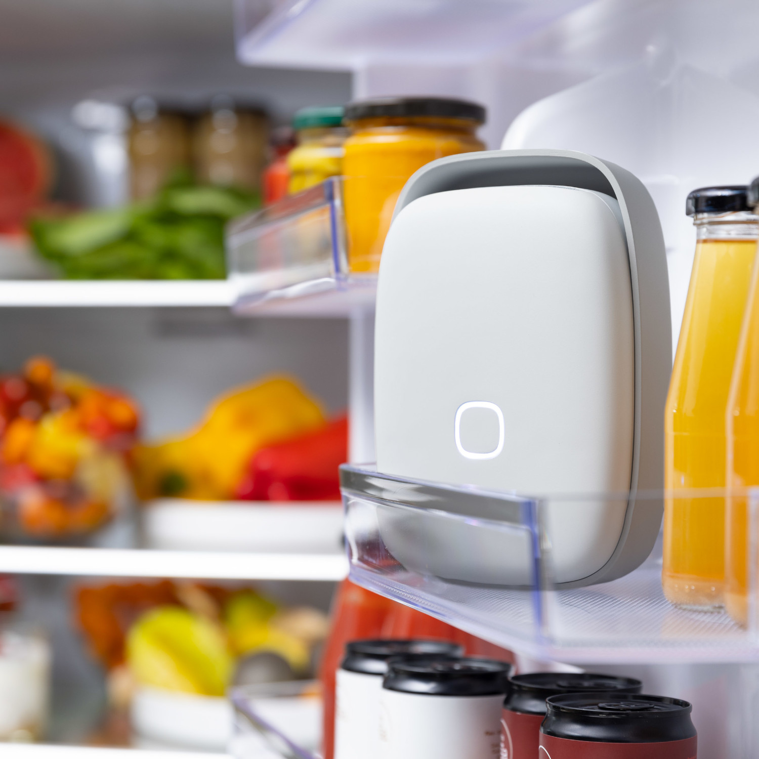 VITESY Shelfy Luftreiniger Kühlschrank