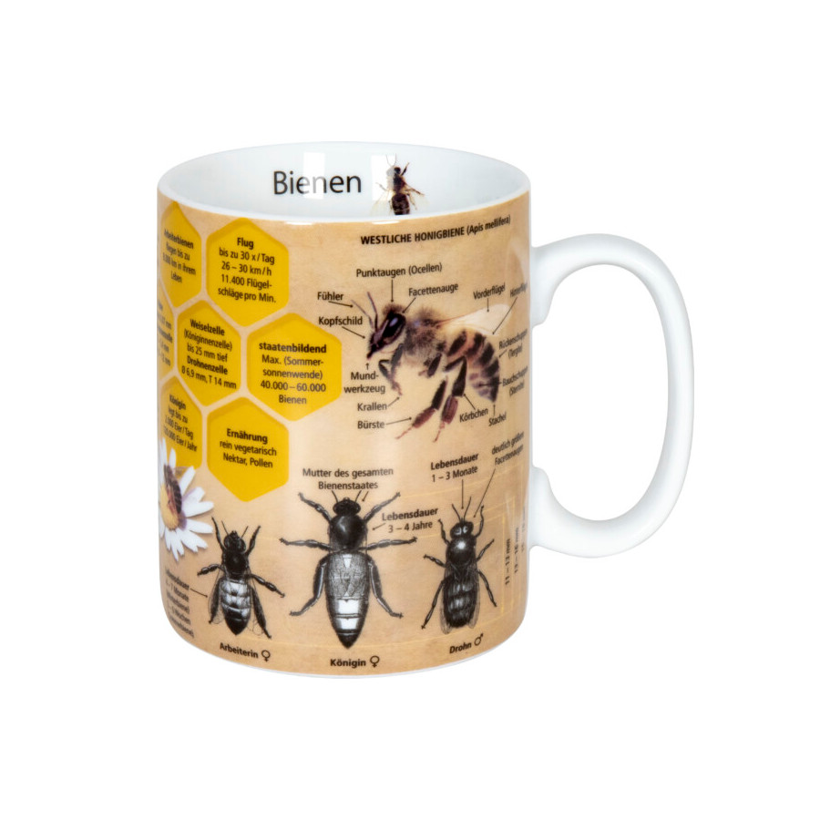 Wissensbecher Biene