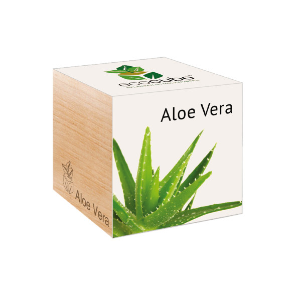 Ecocube - Aloe Vera