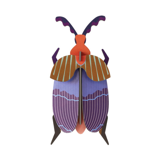 Queen Beetle